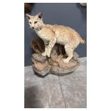FULL BODY BOBCAT TAXIDERMY MOUNT