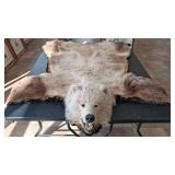 ALASKAN BROWN BEAR RUG