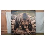 GRIZZLY BEAR CANVAS PRINT
