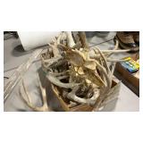 GROUP OF ASSORTED ANTLERS