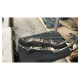 2 COMPOUND BOWS