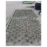 GREEN PATURE DRAG, 12'X7'