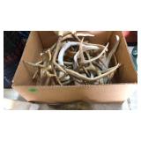 BX OF DEER ANTLERS