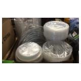 GROUP OF CLEAR GROW POTS