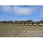 Hernando County School Board Surplus School Bus Auction