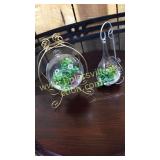 2 Hanging glass terrariums