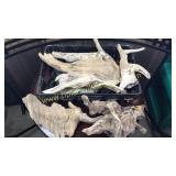 Collection of driftwood