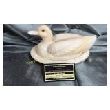 Westmoreland duck on nest