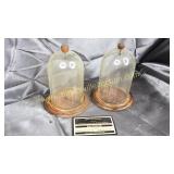 display domes with hangers