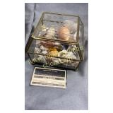 Etched box with seashells top is cracked