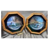 Duck collector plates in shadow boxes