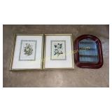 Botanical prints and mirror