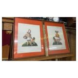 Tennessee Vols pictures