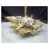 Seashell art