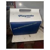 Igloo cooler