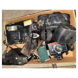Box of vintage cameras