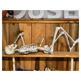 Large Lounging posable skeleton decoration