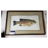 Framed smallmouth bass artist signed and numbered