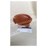 Blown glass striped red fish