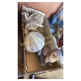 Urchin, driftwood, seal