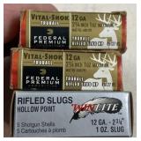 Winchester & Federal 12GA Slugs