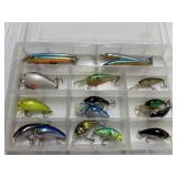 Artificial Baits in Plano Box