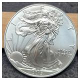 2013 Silver Eagle