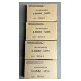 120 rnds Israeli 5.56mm Ammo