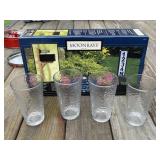 Solar Address Sign and Glasses