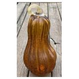 Glass Gourd