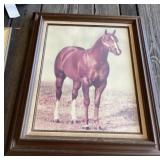 Framed Horse Photo