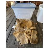 Tote Full of Cut Teddy Bear Pattern