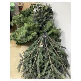 2 - Christmas Trees
