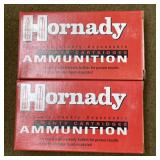34 rnds Hornady .243 Ammo