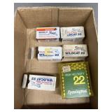 200++ rnds .22LR Ammo
