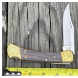 Buck 110 Folding Hunter Pocket Knife