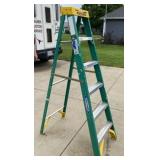 Werner 6'  Fiberglass Step Ladder