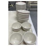 27 pcs Medical Buffalo China