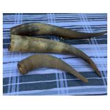 Three Bull Horns