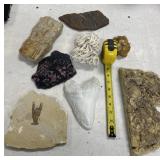 Fossils