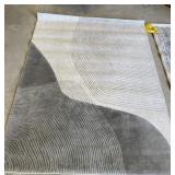 5' x 7' Area Rug