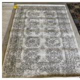 5' x 7' Area Rug