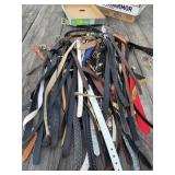 Ladies Belts