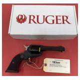 Ruger Wrangler .22 LR Revolver