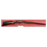Premier Pump 22 .22 SLLR Rifle