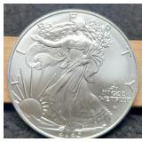 2025 Silver Eagle
