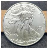 2021 T1 Silver Eagle