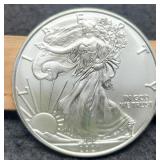 2021 T1 Silver Eagle
