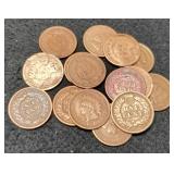 (15) Indian Head Cents 1891-1908