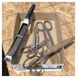 Rasp, Shears
